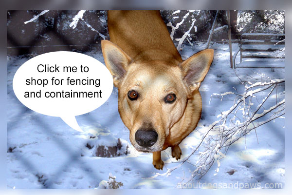 pet containment
